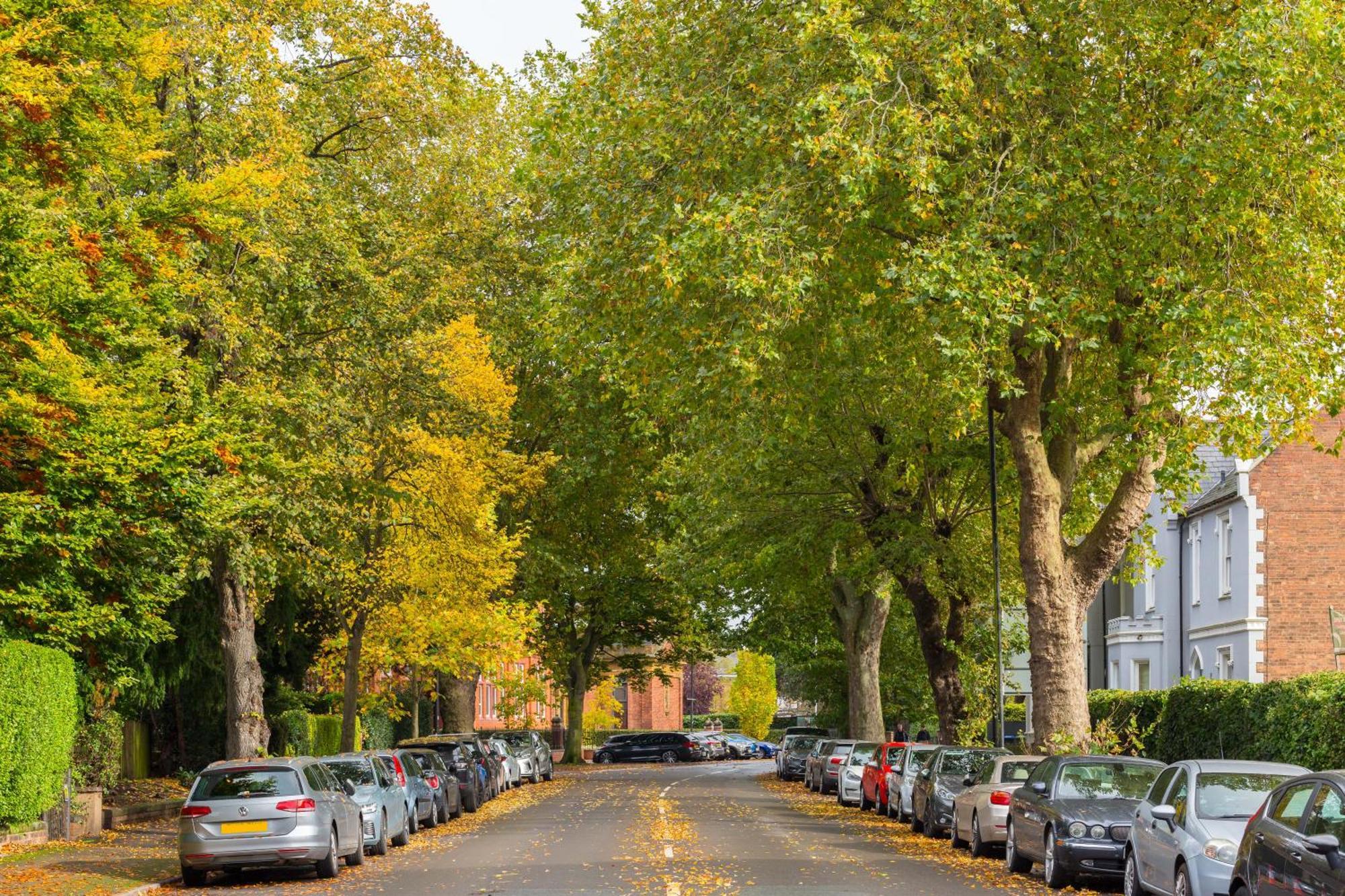 1-Bedroom Apartment In Leamington Spa With Free Parking المظهر الخارجي الصورة